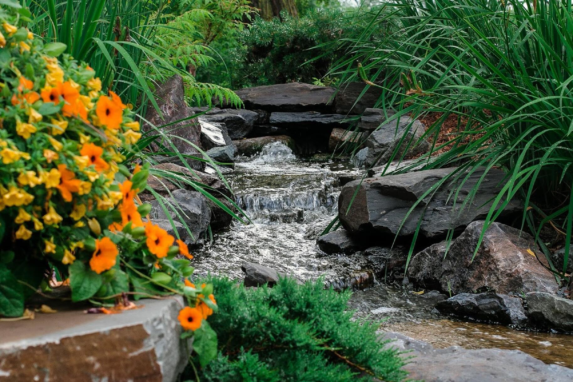 flowing stream with flowers